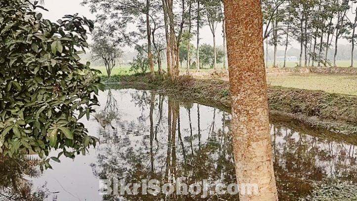 ৬ শতক জমি বিক্রি হবে লাকসাম বাইপাস
